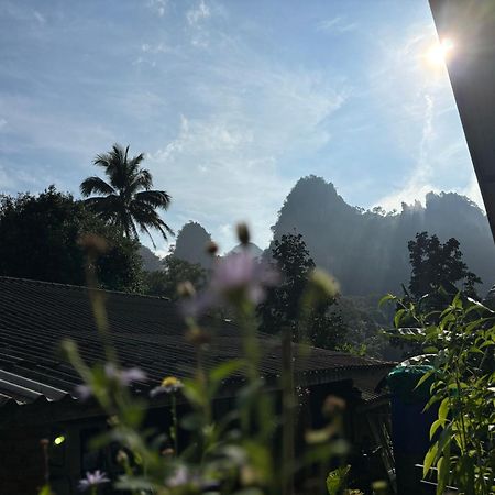 Khao Sok Backpacker Hostel Khao Sok National Park Εξωτερικό φωτογραφία