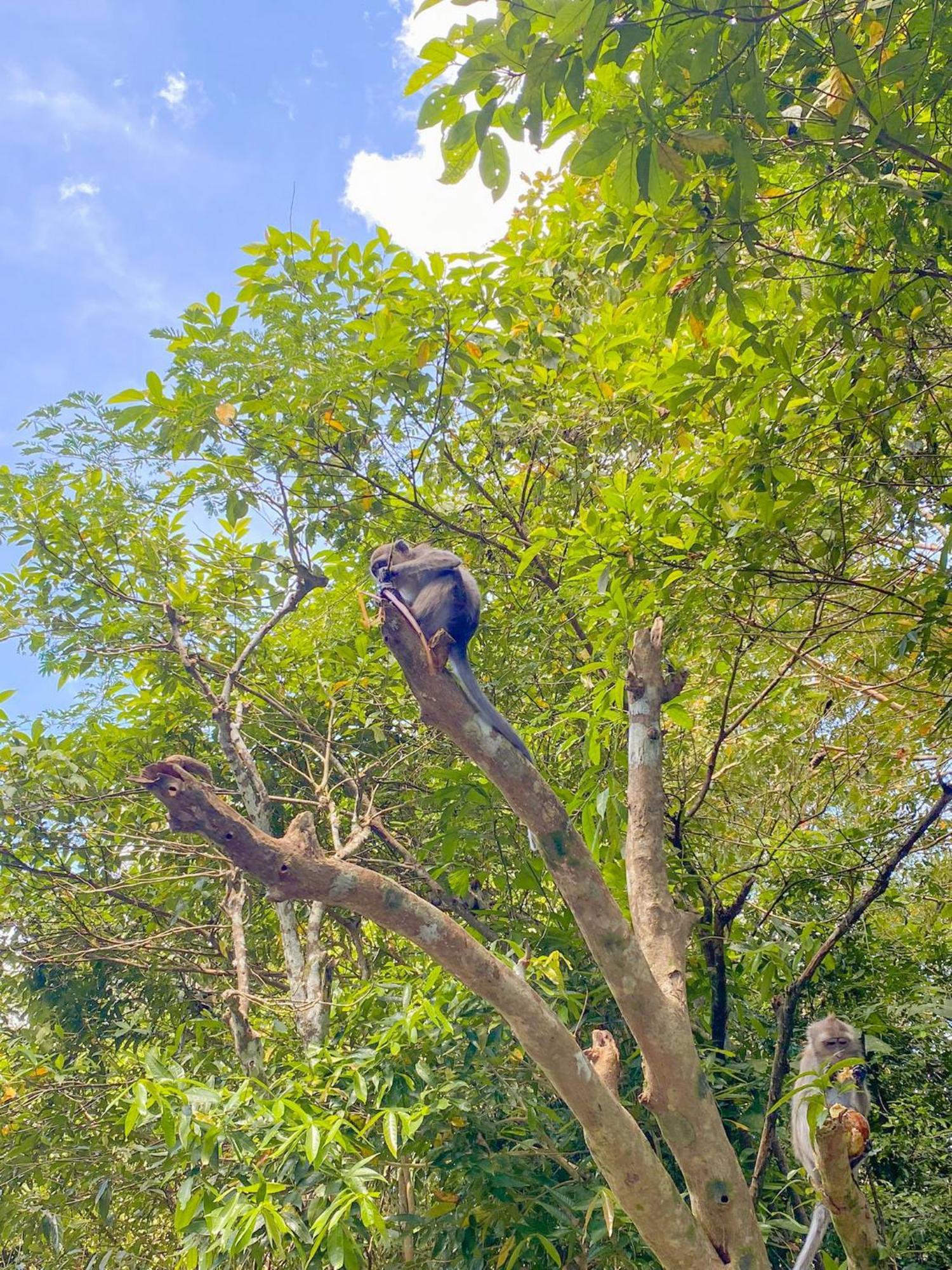 Khao Sok Backpacker Hostel Khao Sok National Park Εξωτερικό φωτογραφία